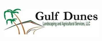 gulf dunes